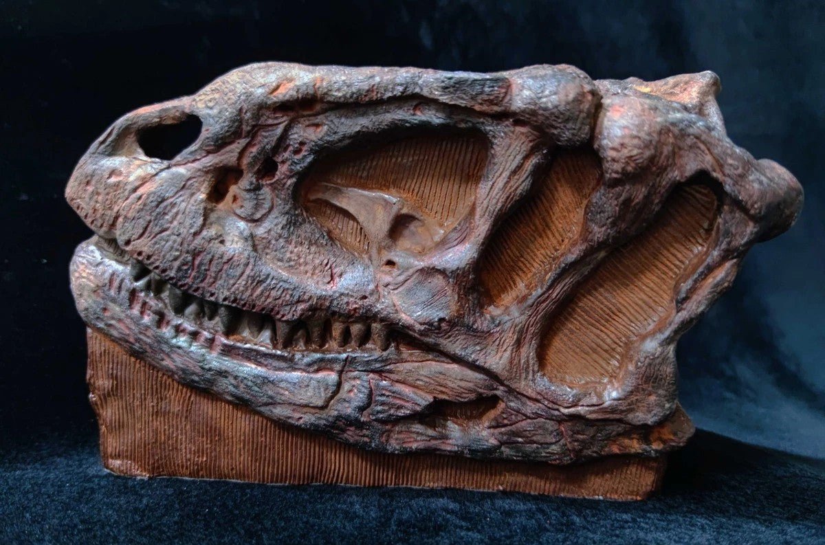 Yangchuanosaurus Skull Skeleton Model