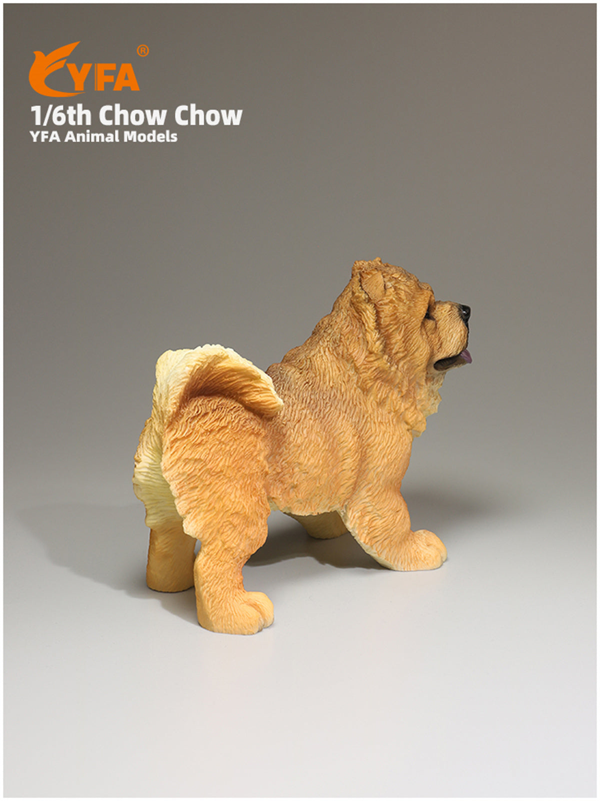 JJM 1/6 Chow Chow Dog Model