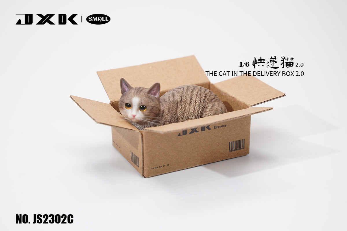 JXK Small The Cat In The Delivery Box 2.0 Model
