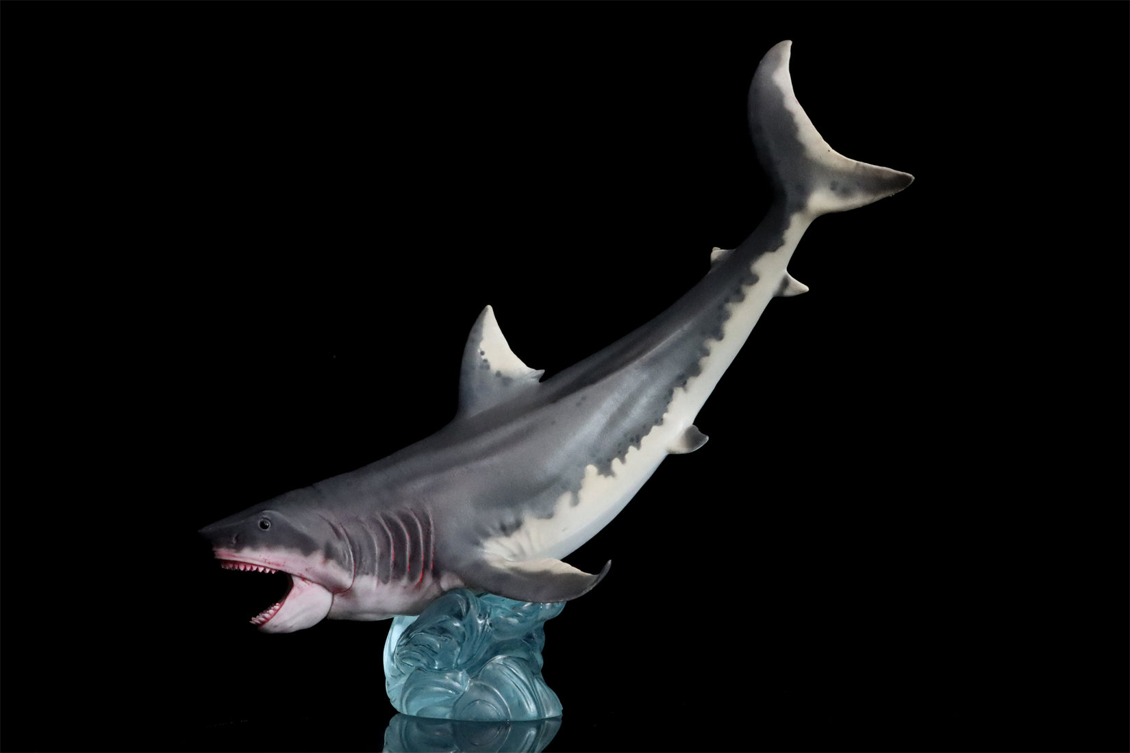HAOLONGGOOD Megalodon Model
