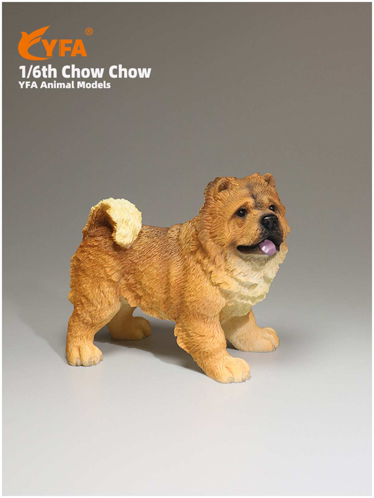 JJM 1/6 Chow Chow Dog Model