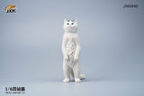 JXK 1/6 British Shorthair Cat