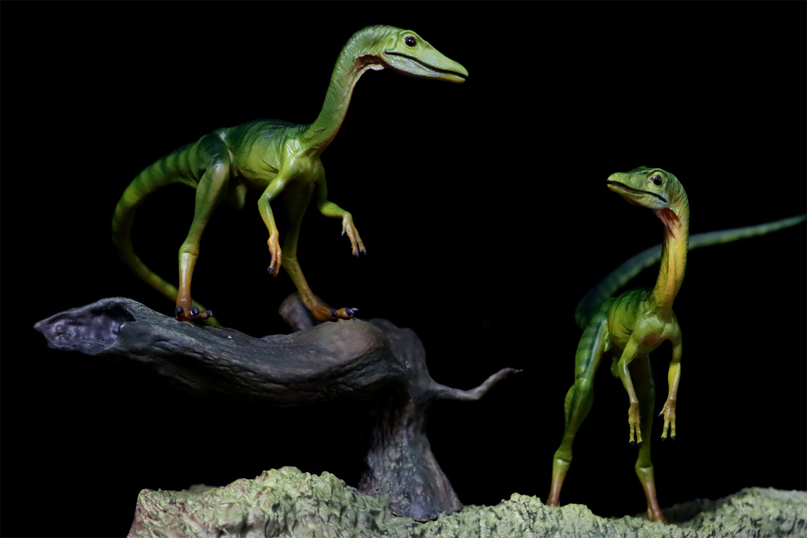 DINO DREAM 1/5 Scale Compsognathus Statue