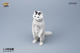 JXK 1/6 British Shorthair Cat