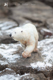 1/10 Polar Bear Prey Seal Scene Model