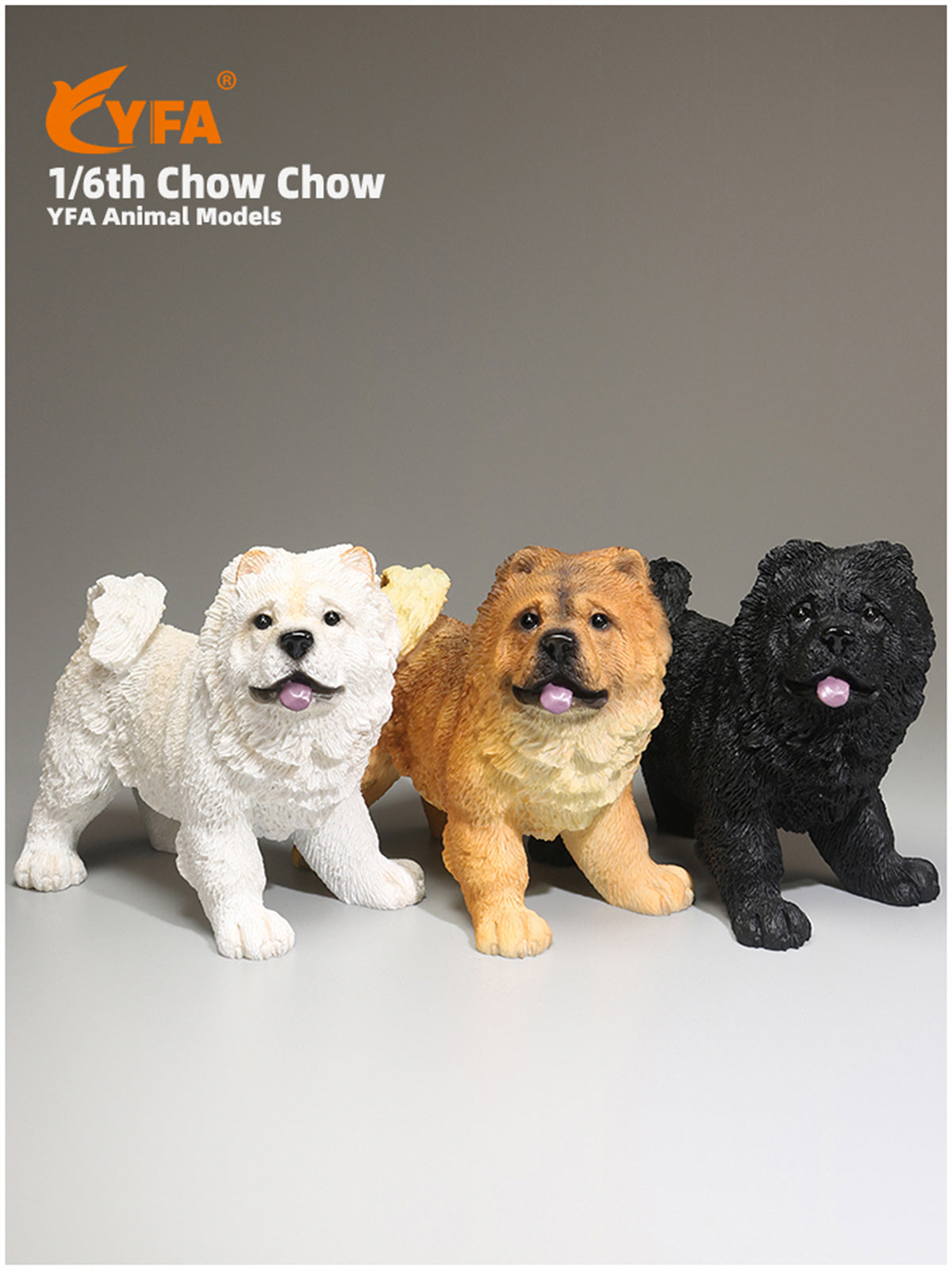 JJM 1/6 Chow Chow Dog Model