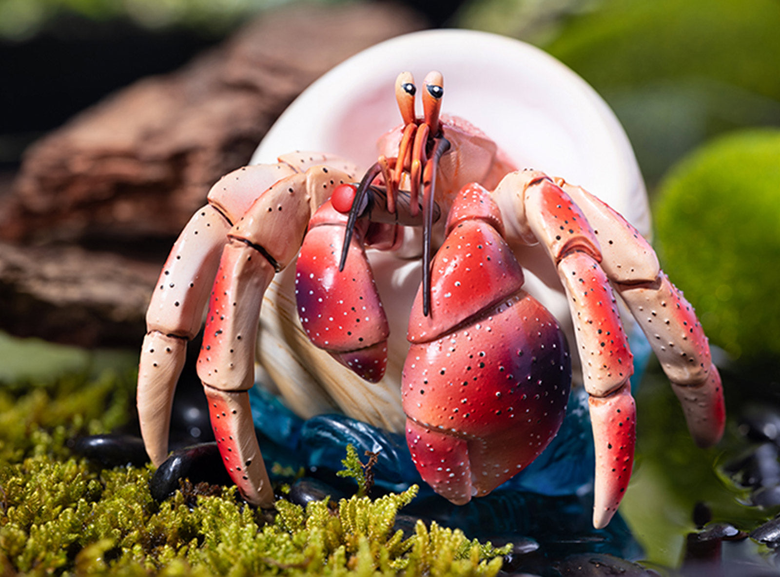 KONGZOO Summer Hermit Crab Model