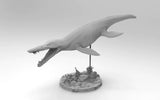 1/35 Pliosaurus Funkei Model