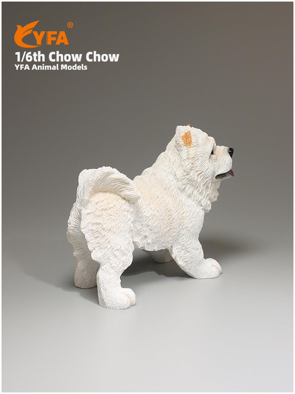 JJM 1/6 Chow Chow Dog Model