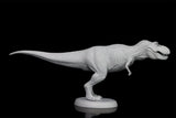 Nanmu Tyrannosaurus Alpha 2.0 Model