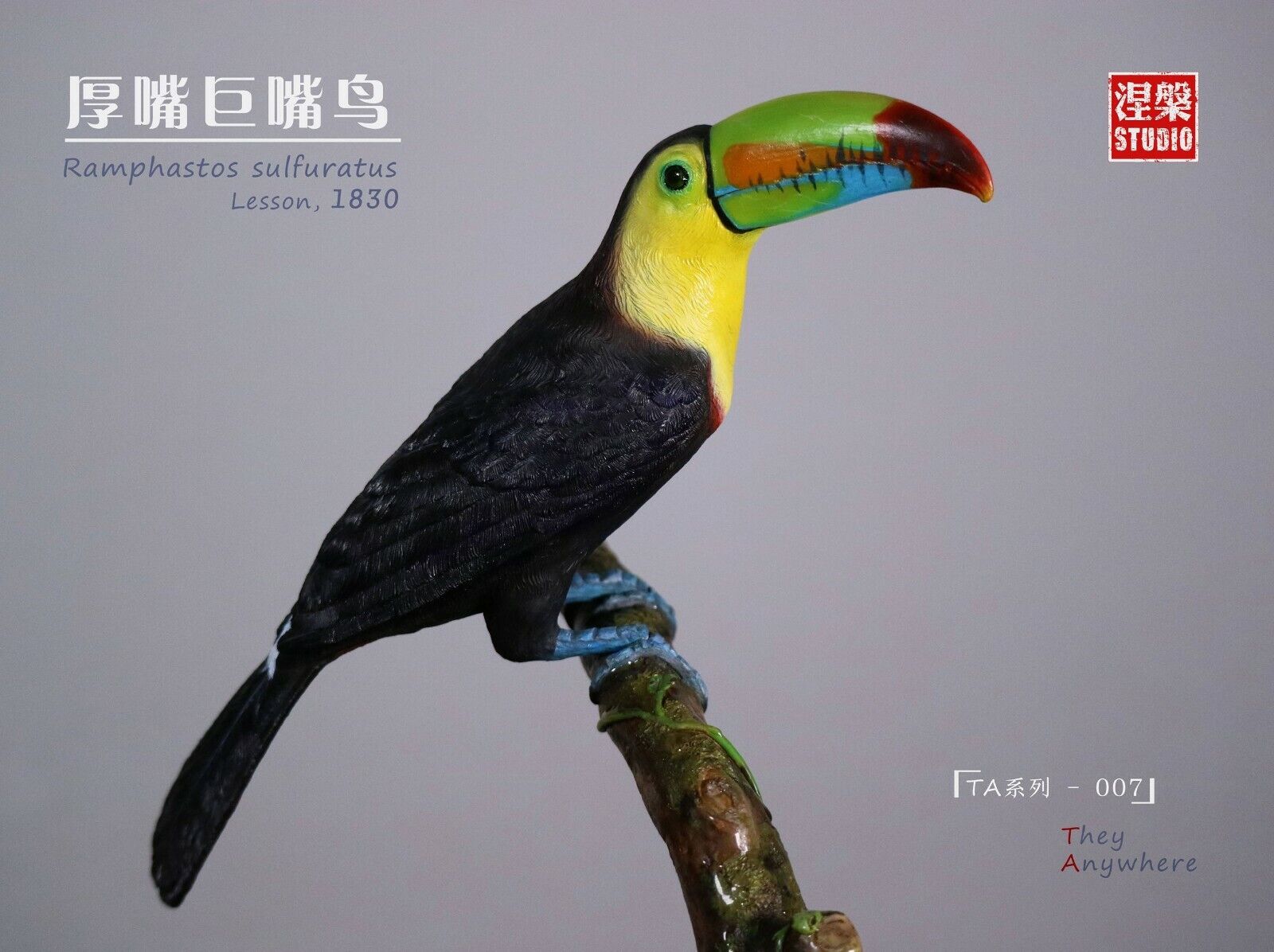 Ramphastos sulfuratus Statue