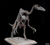 1/20 Deinocheirus Skeleton Model