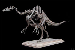 1/20 Deinocheirus Skeleton Model