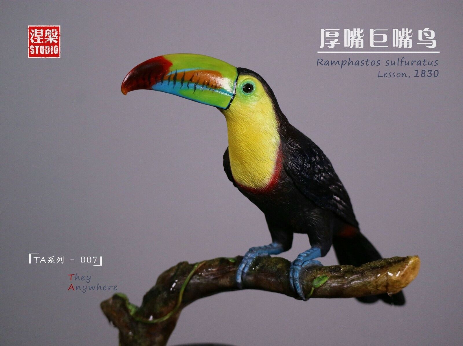 Ramphastos sulfuratus Statue