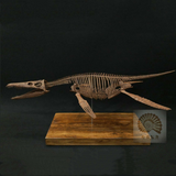 1/6 Liopleurodon Skull Skeleton Model