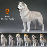 Mr.Z 1/6 Siberian Husky Figure