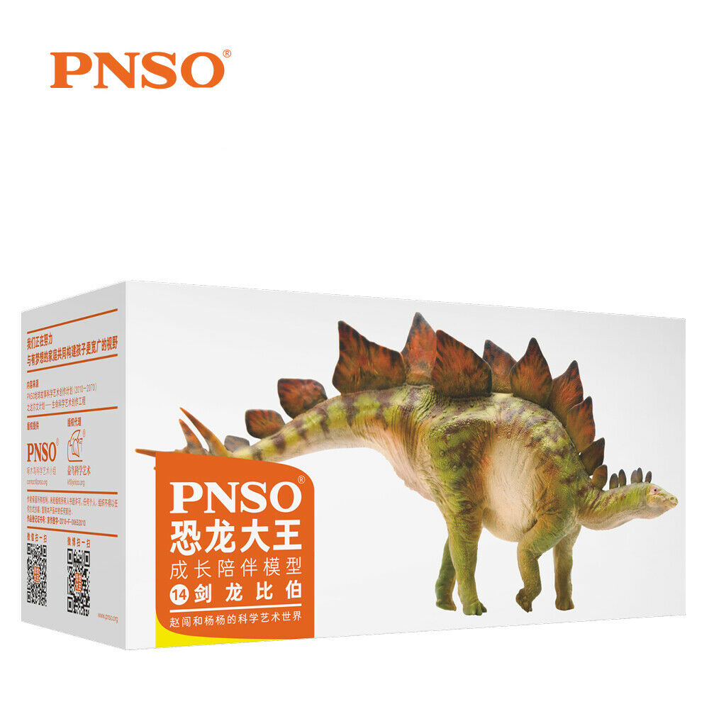PNSO Stegosaurus Model