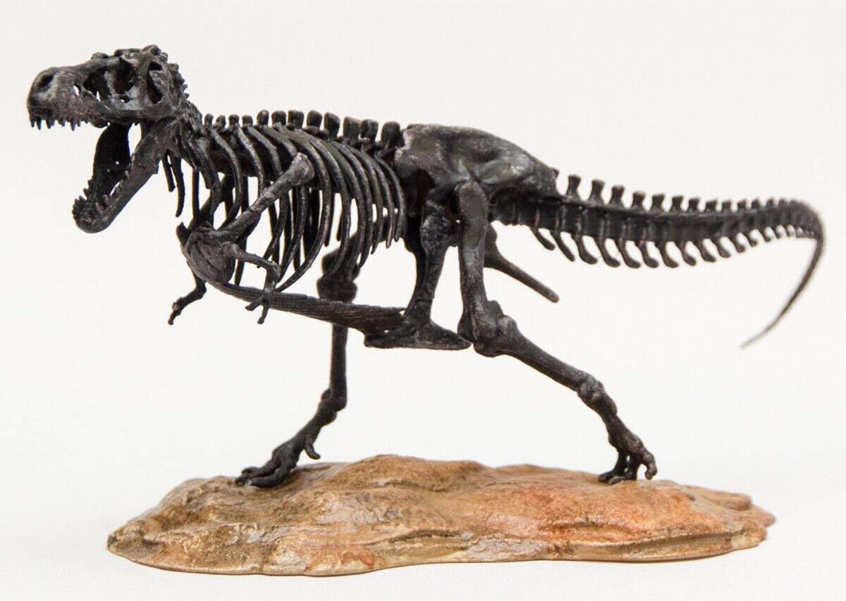 1/72 T-Rex Skeleton Model