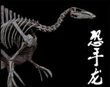 1/20 Deinocheirus Skeleton Model