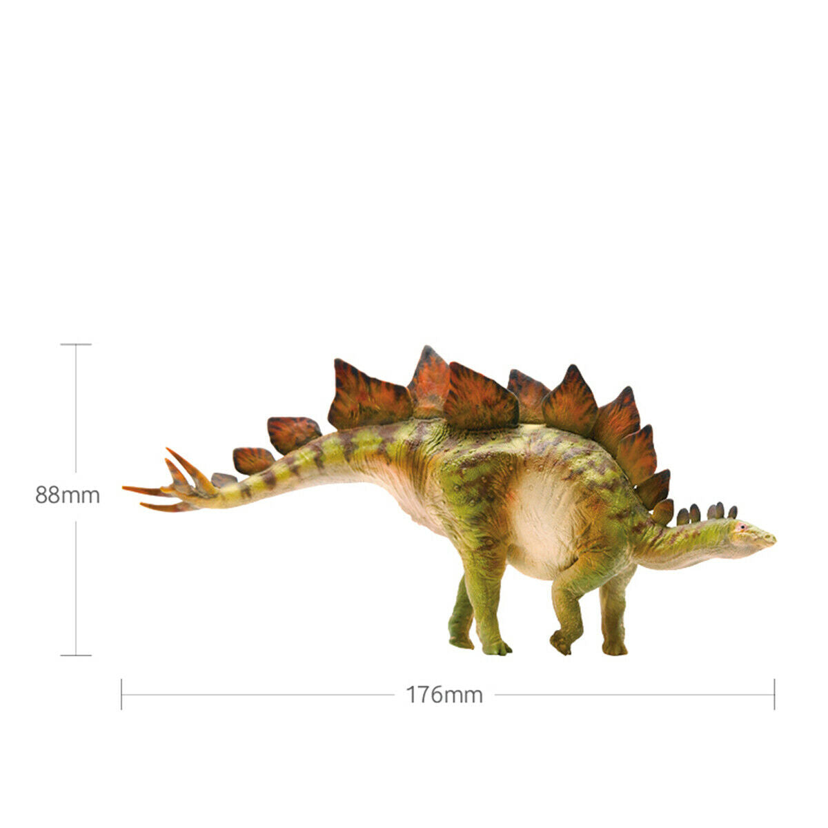 PNSO Stegosaurus Model