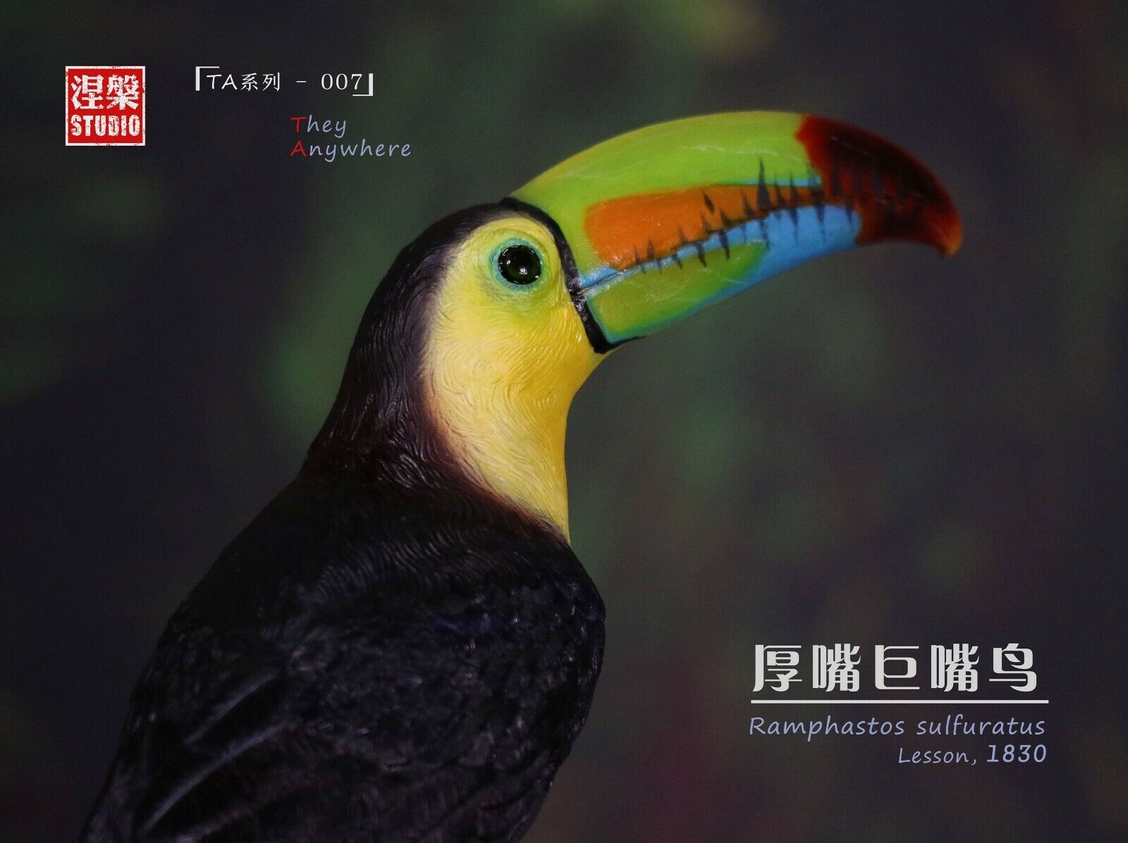 Ramphastos sulfuratus Statue