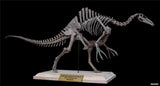 1/20 Deinocheirus Skeleton Model