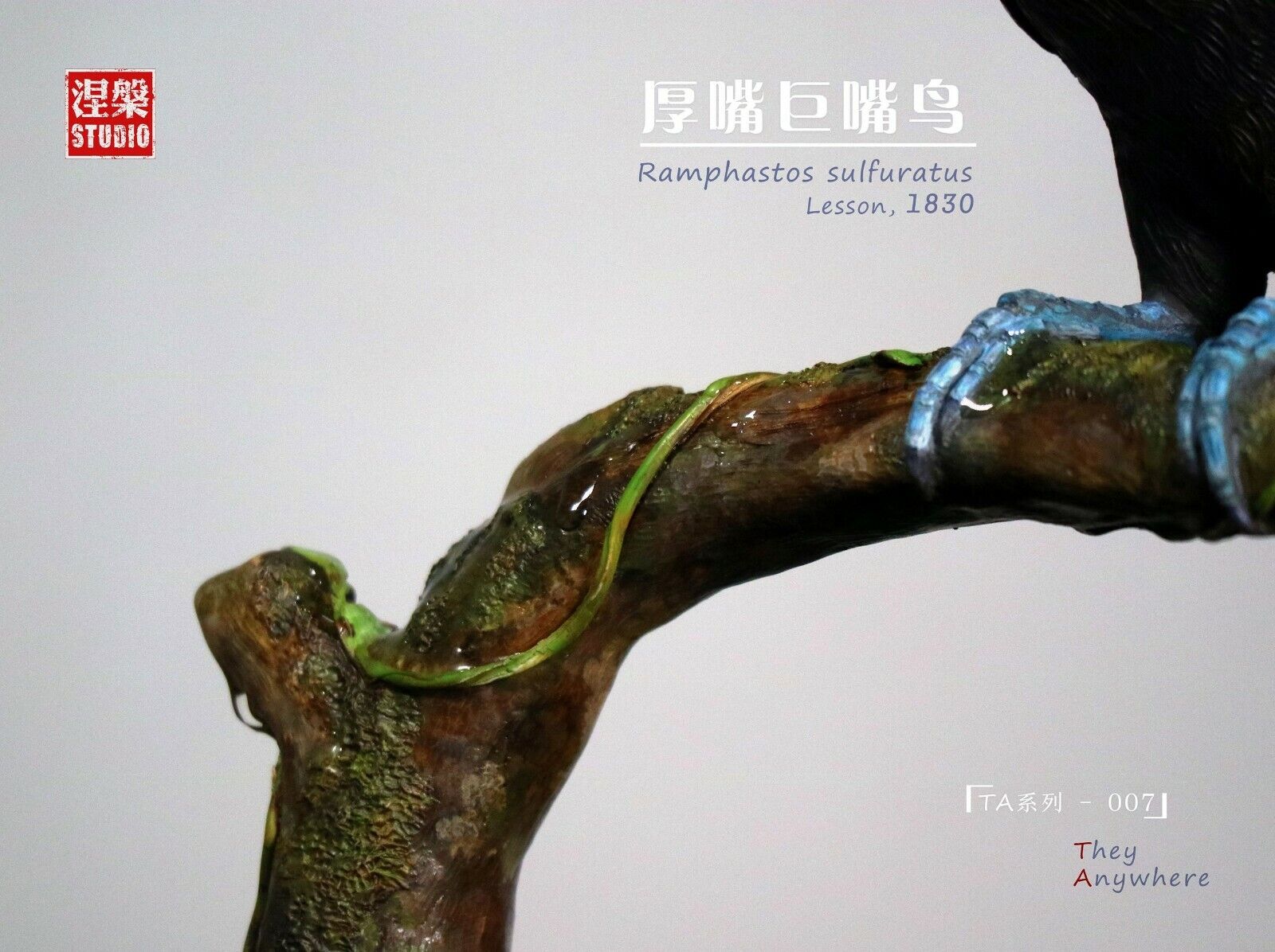 Ramphastos sulfuratus Statue