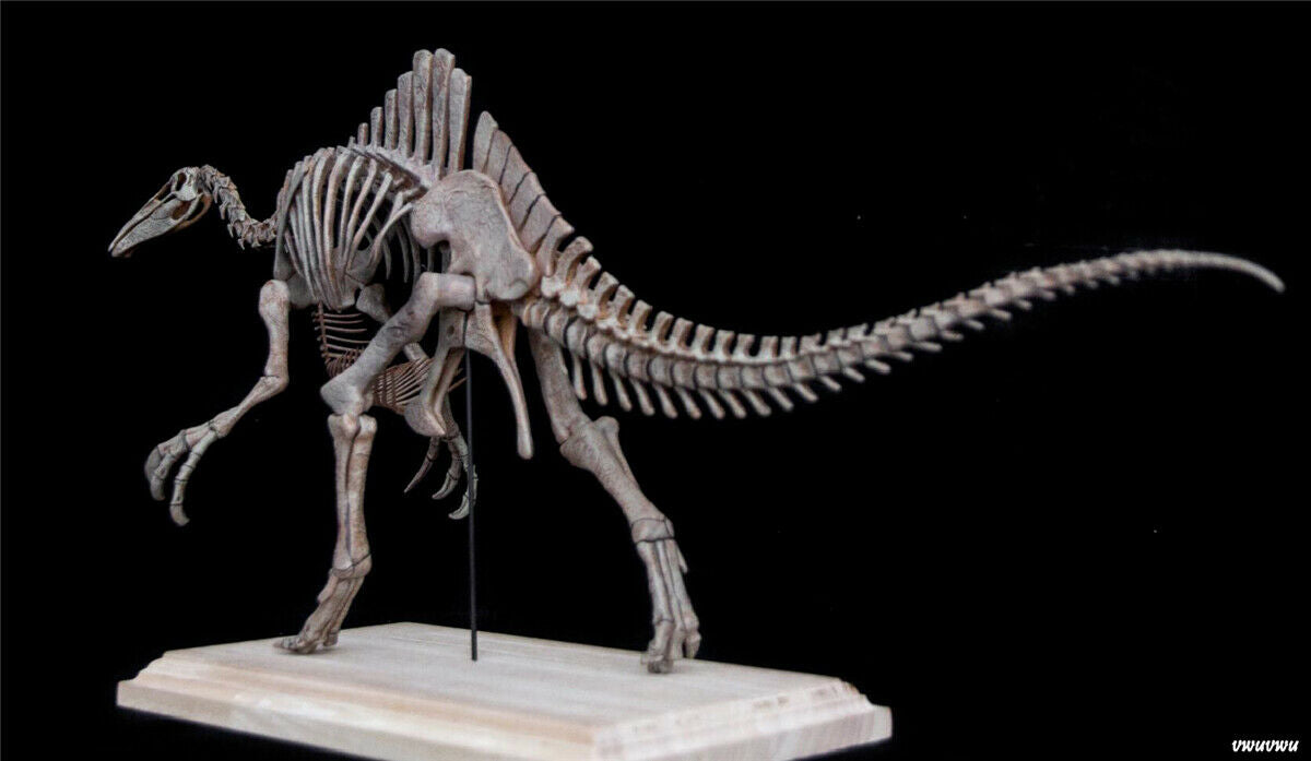 1/20 Deinocheirus Skeleton Model