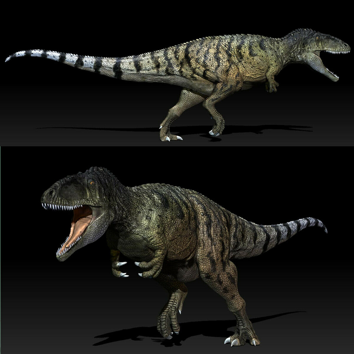 1/35 Carcharodontosaurus Statue