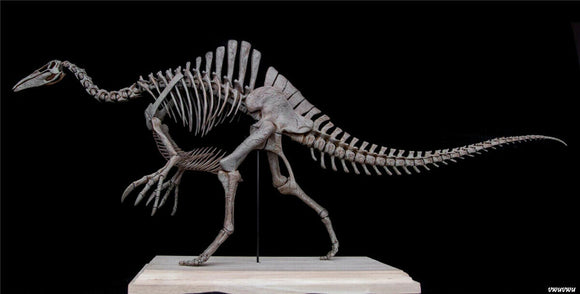 1/20 Deinocheirus Skeleton Model