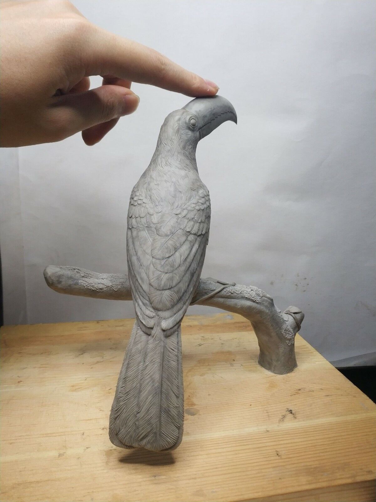 Ramphastos sulfuratus Statue