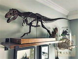 1/10 Tyrannosaurus Rex Skull Skeleton Model