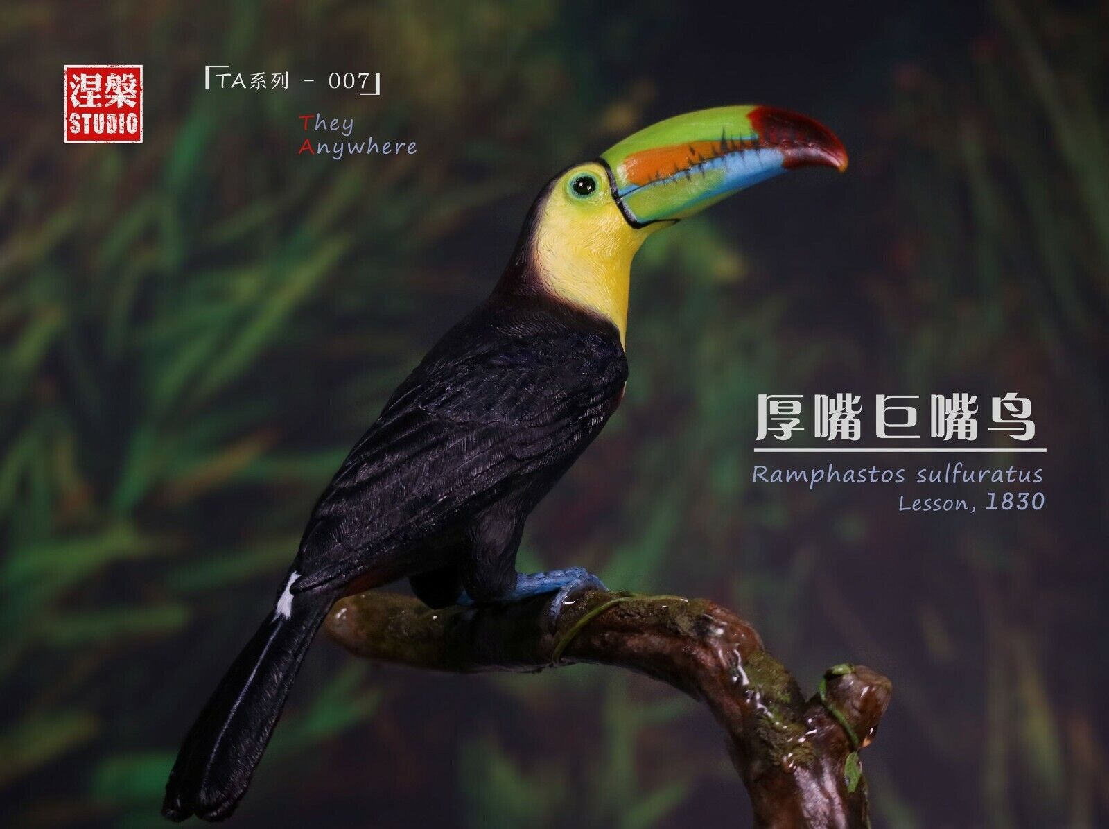 Ramphastos sulfuratus Statue