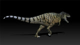 1/35 Carcharodontosaurus Statue