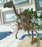 1/20 Deinocheirus Skeleton Model