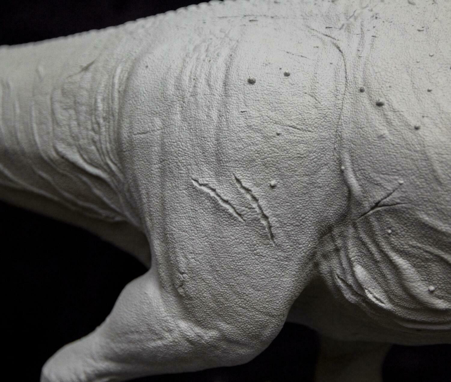 T-Rex Ruby Skeleton Model