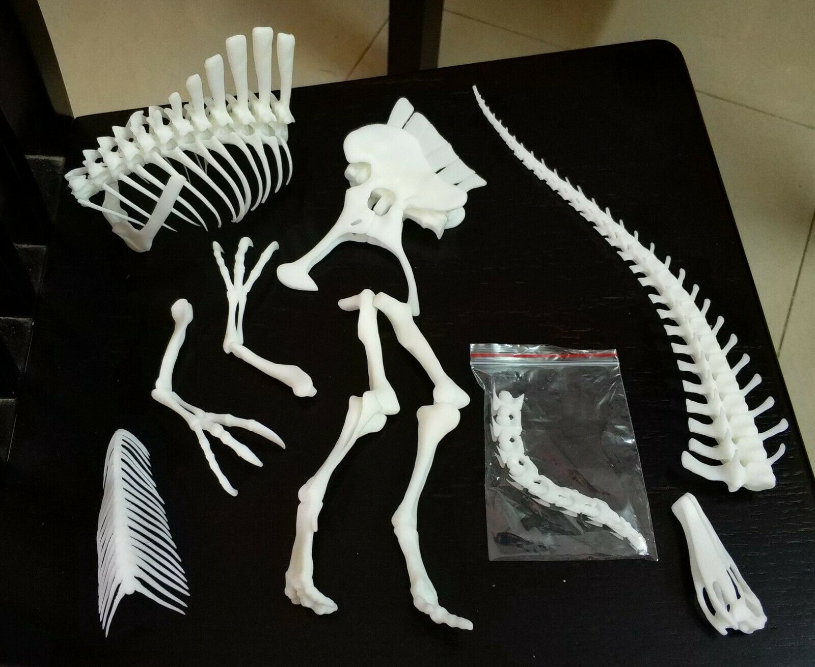 1/20 Deinocheirus Skeleton Model