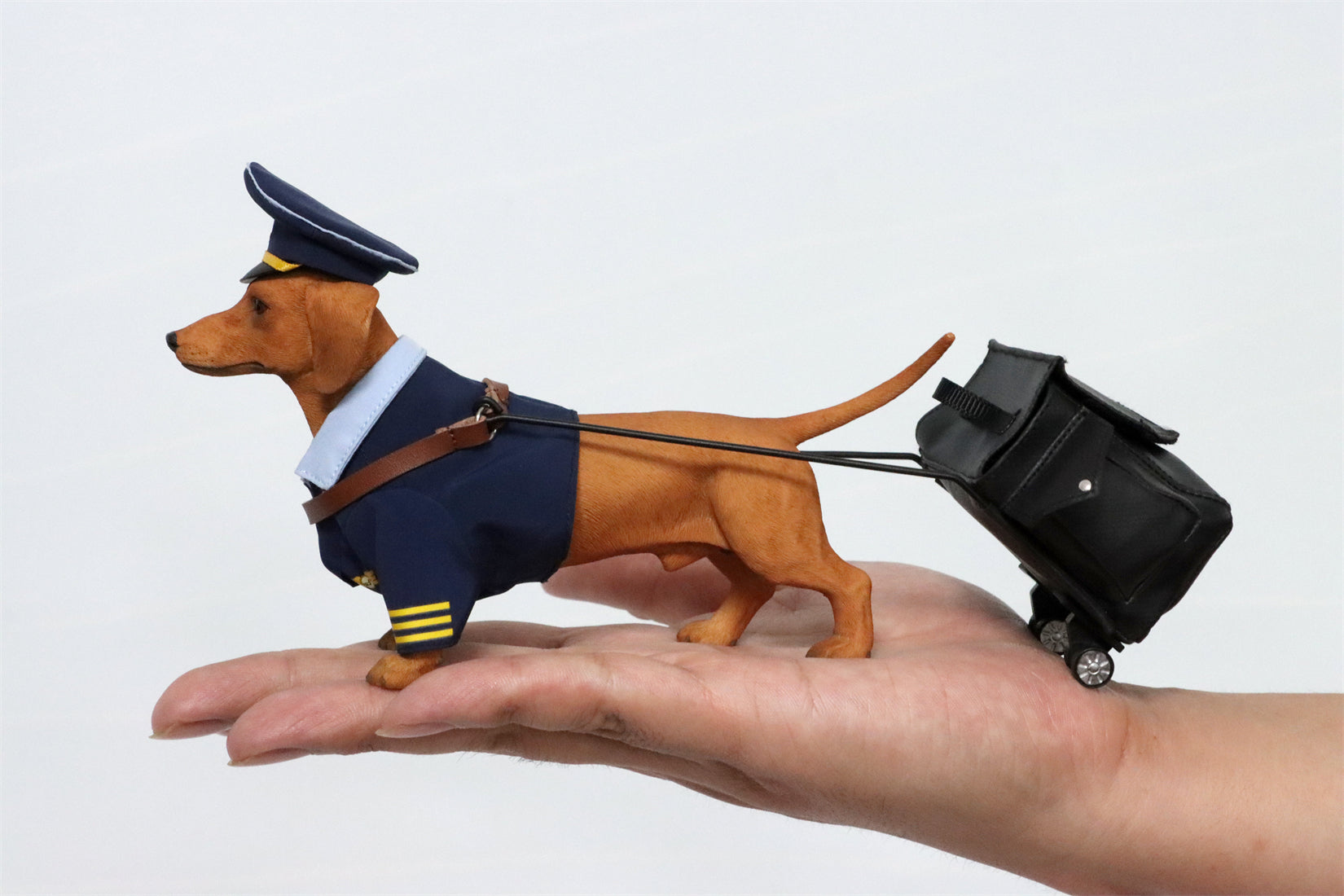 JXK 1/6 Dachshund Model