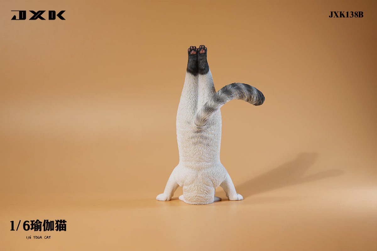 JXK 1/6 Yoga Cat Model