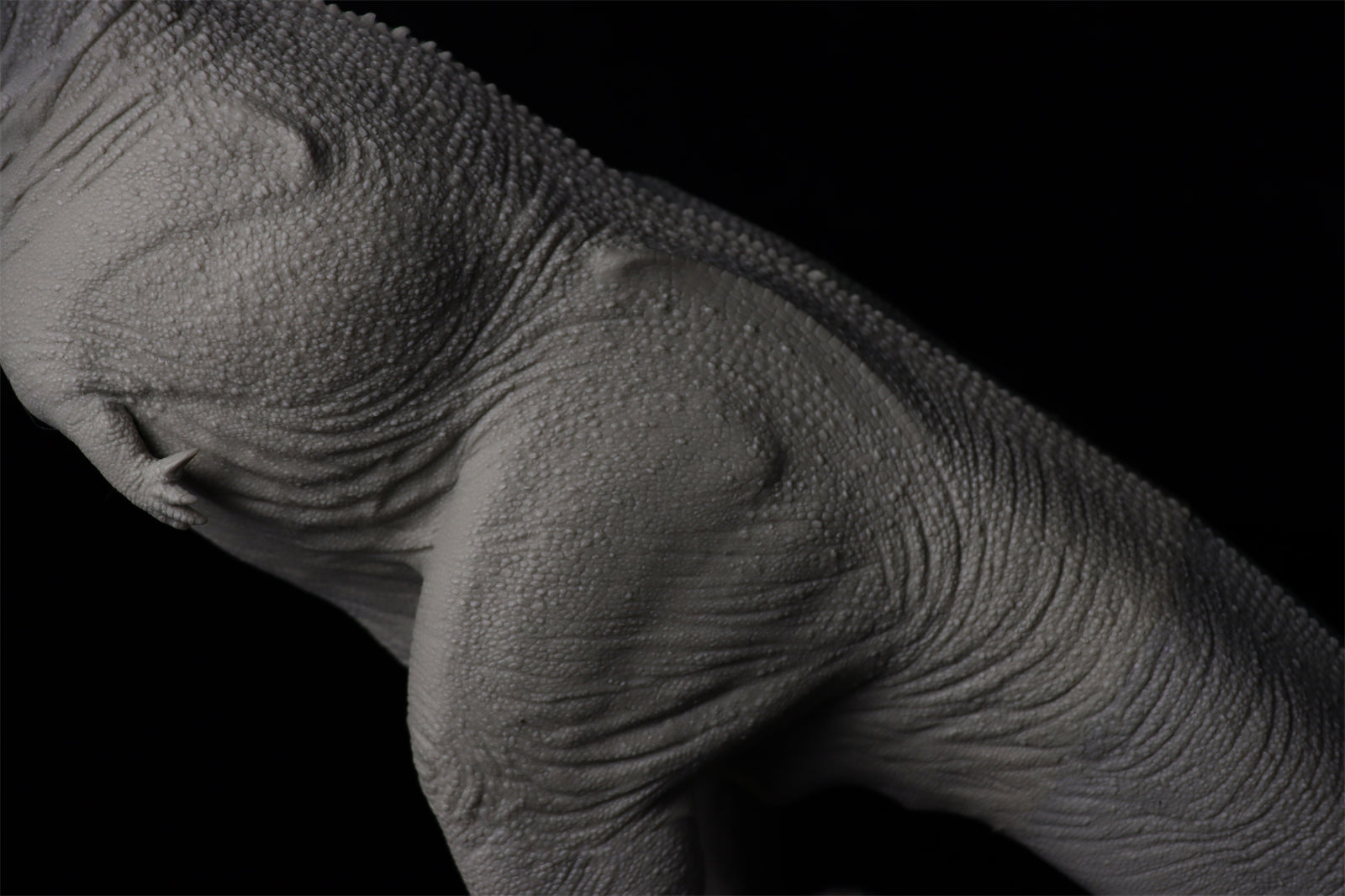 Sensen 1:15 Scale Carnotaurus Scene Statue