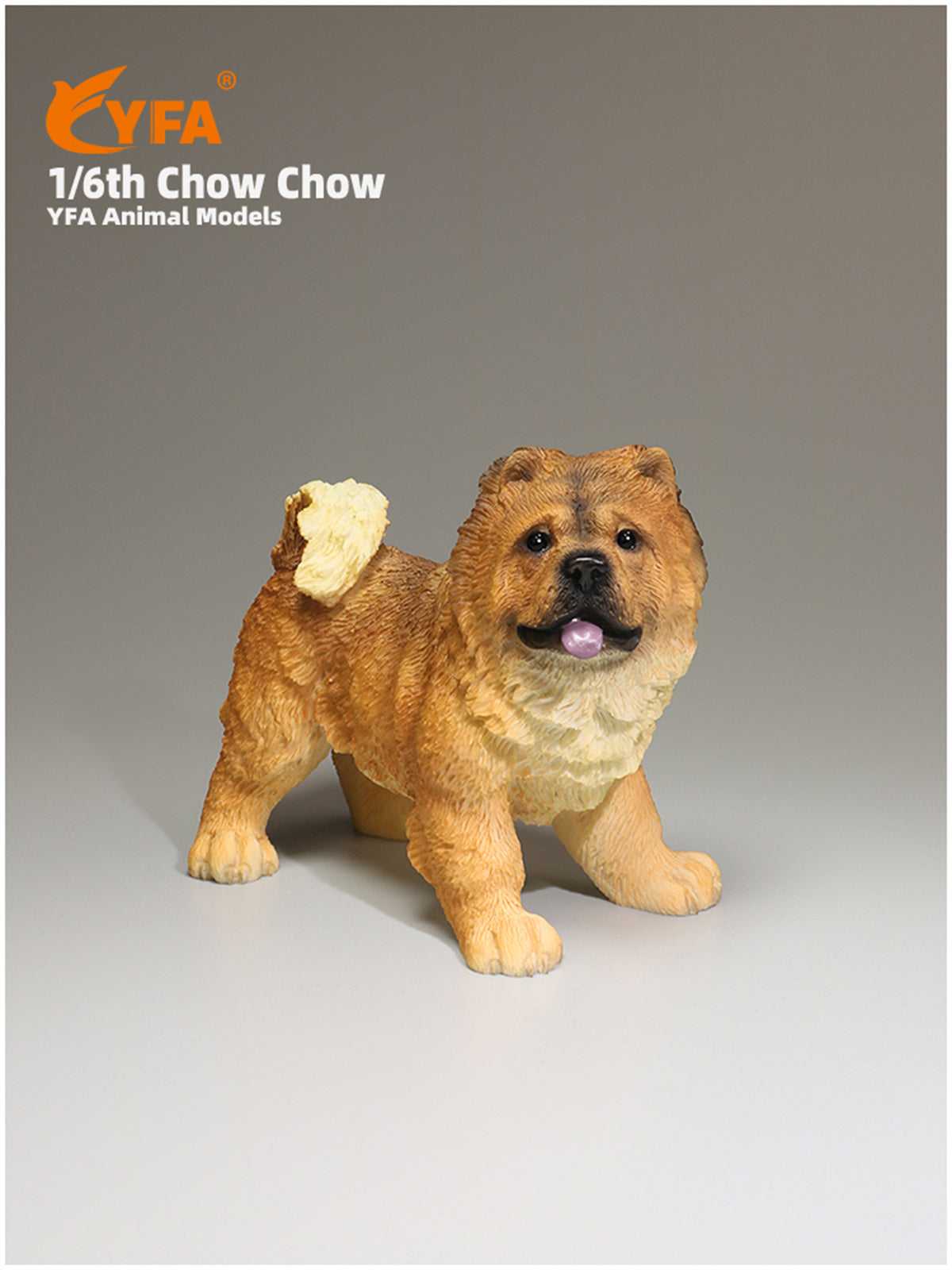 JJM 1/6 Chow Chow Dog Model