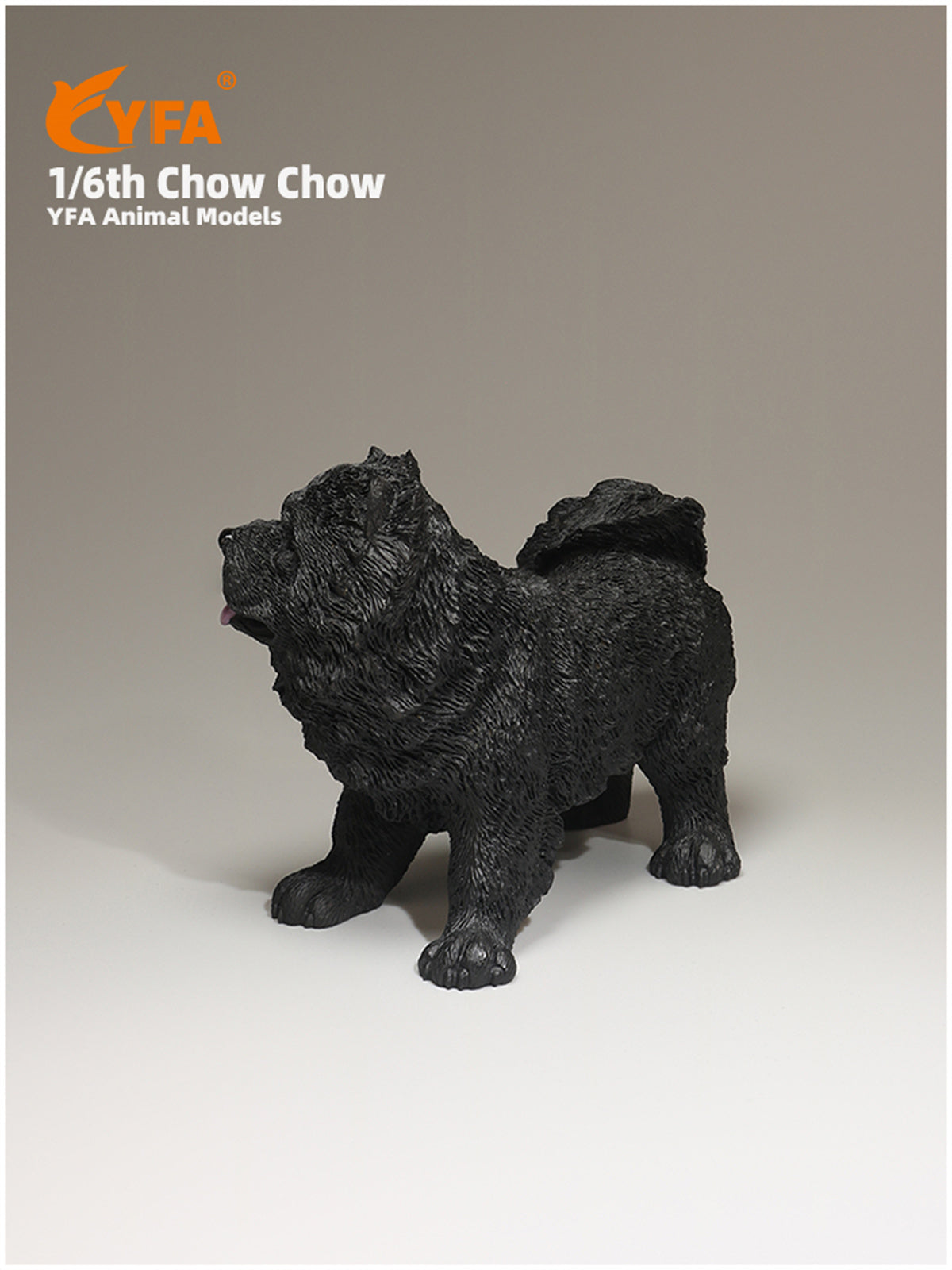 JJM 1/6 Chow Chow Dog Model