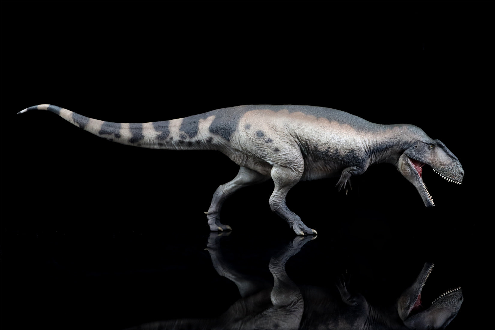 PNSO 68 Mapusaurus Mila Model