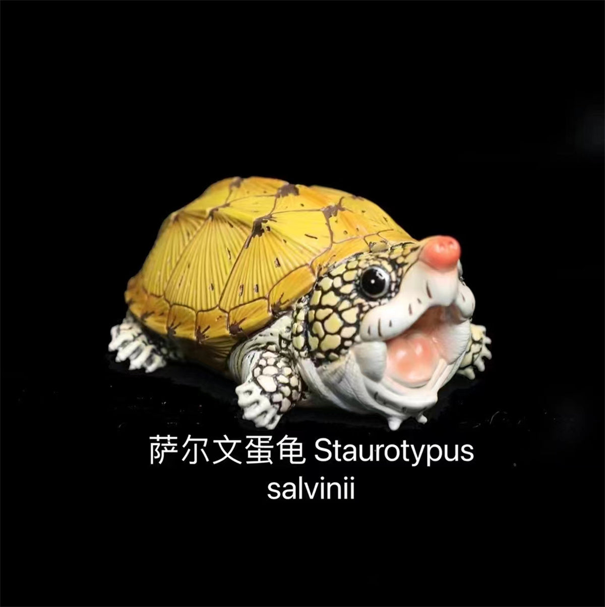 Q Version Turtle Blind Box Model