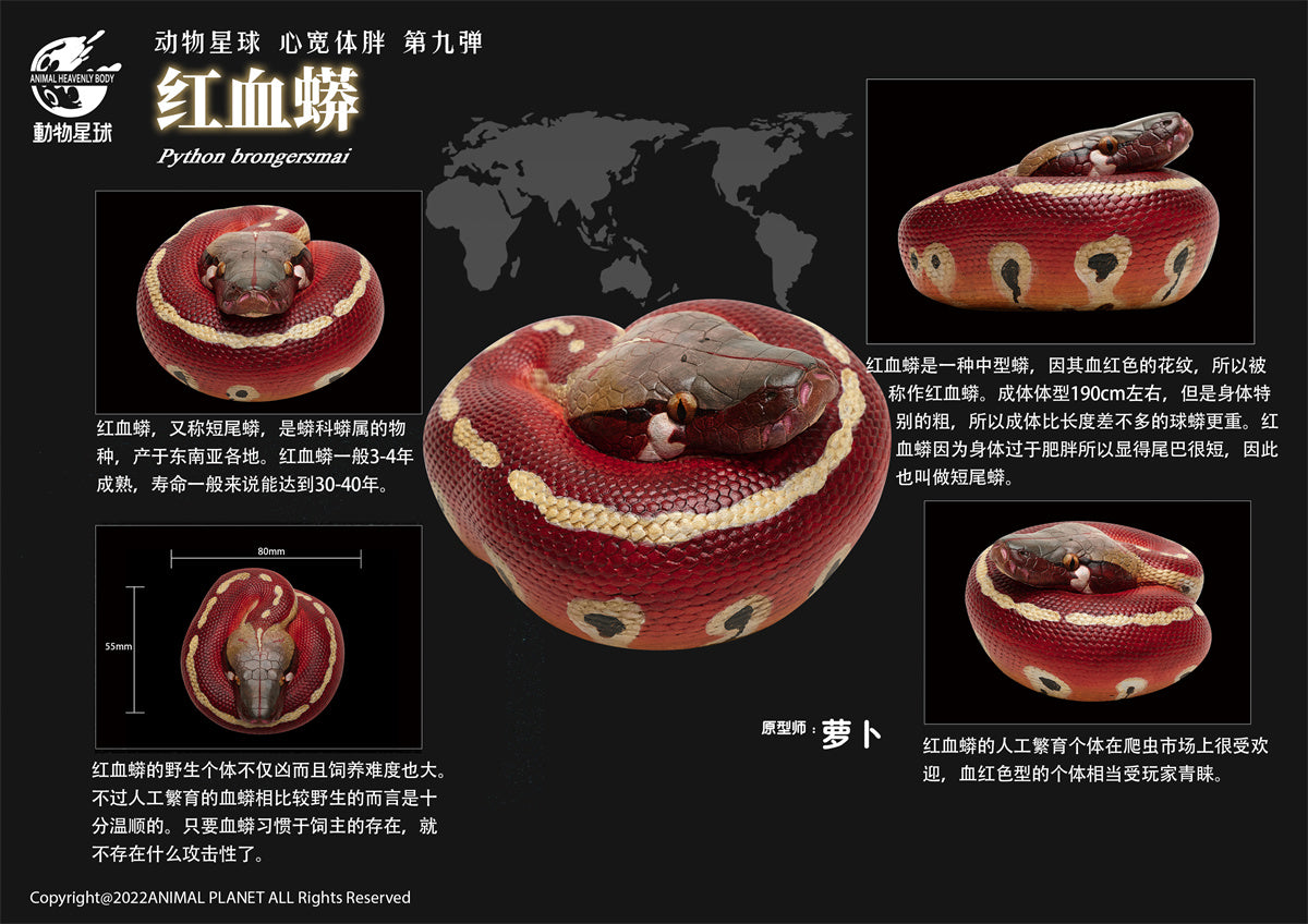 Animal Planet 09 Snake 2.0 Blind Box Model