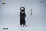 JXK 1/6 British Shorthair Cat