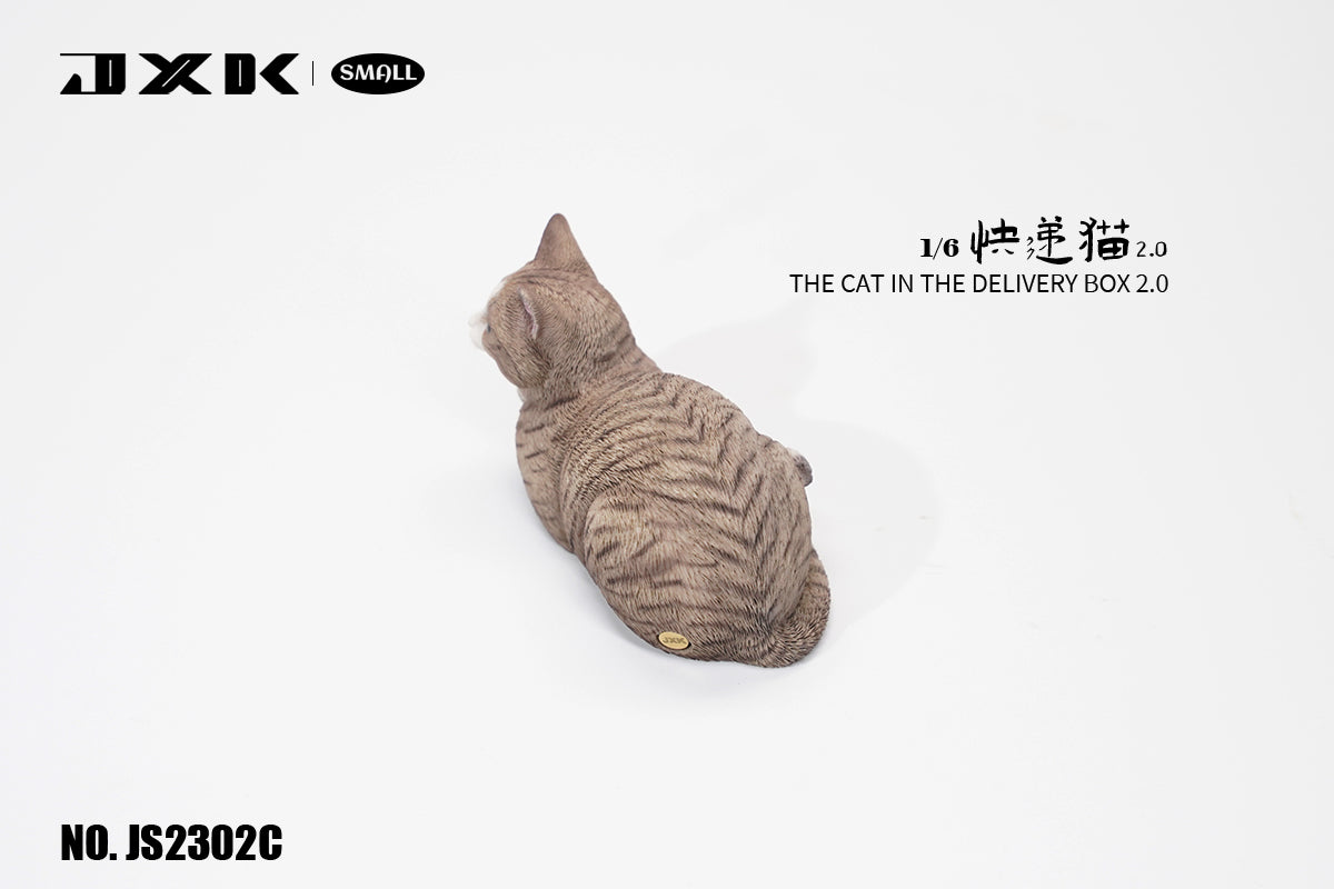 JXK Small The Cat In The Delivery Box 2.0 Model