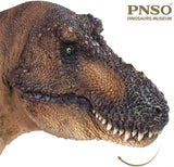 PNSO 1/35 Tyrannosaurus Rex Andrea Model