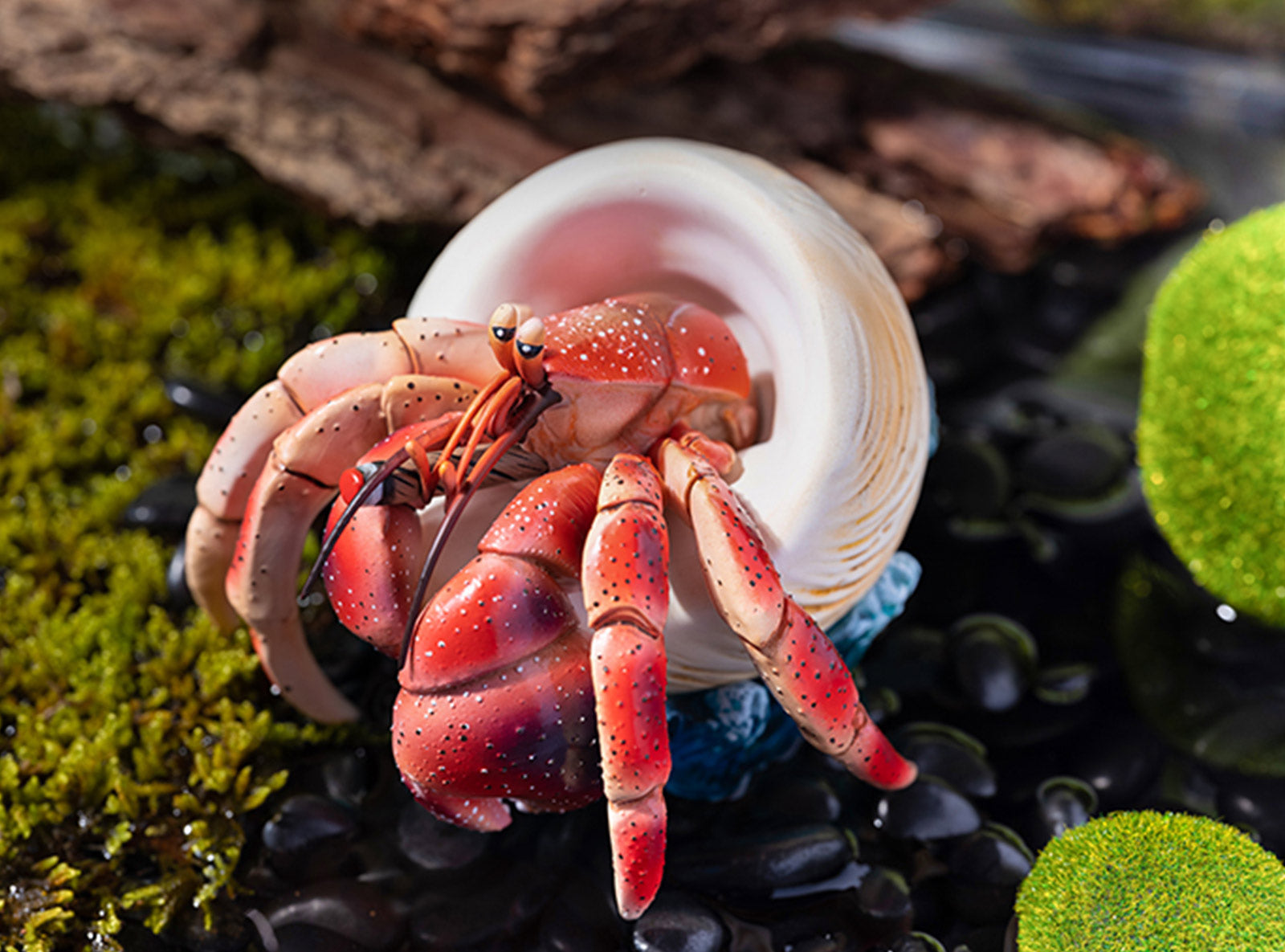 KONGZOO Summer Hermit Crab Model