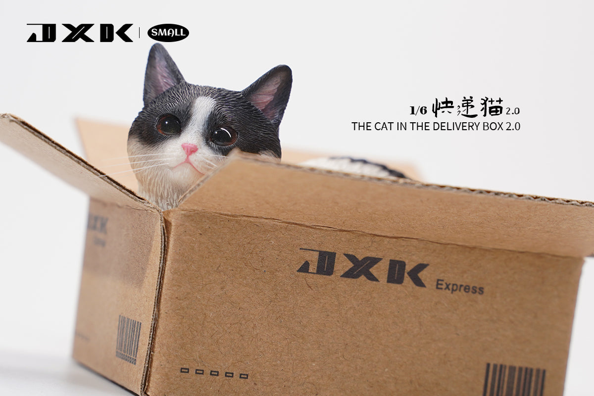JXK Small The Cat In The Delivery Box 2.0 Model